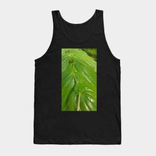 Leaf zig zag Tank Top